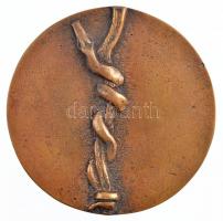 Papi Lajos(?) (1921-1987) ~1970. "Dr. Kanyó Béla prof. 1898-1964" kétoldalas, öntött Br pl...