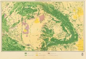1936 Magyarország növénytakarójának térképe Honvéd térképészeti Intézet 40x28 cm