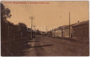 1916 Nagymihály, Michalovce; Andrássy Dénes utca, Kardos Lajos kocsigyártó és kárpitos üzlete. Landesman B. 2061. W.L. ? / street, shop