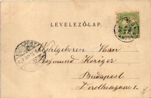 1902 Pomáz, látkép. Divald Károly 176. sz