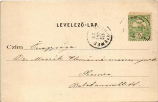 1902 Pomáz-Margitliget, Csobánka, látkép. Divald Károly 174. sz