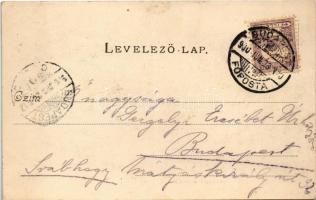 1900 Pomáz-Margitliget, látkép