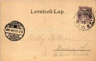 1900 Tokaj, Tiszai Lánchíd + "PÜSPÖKLADÁNY - MISKOLCZ 12. SZ" vasúti mozgóposta bélyegző (...