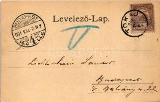 1901 Tokaj, Tiszai Lánchíd (fa)