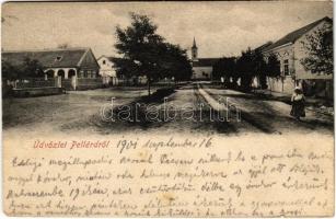 1901 Pellérd, Fő utca (fl)