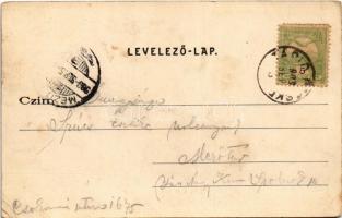 1903 Tápiószentmárton, Blaskovics Ernő kastélya, Római katolikus templom, Schvartz Kálmán üzlete (EK...