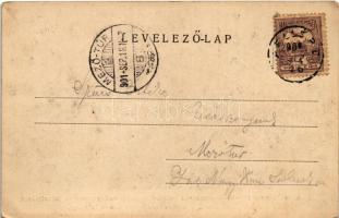 1901 Görcsöny, Római katolikus plébániaház. Az 1901. szeptember 14-18-ik napjaiban megtartott nagy h...