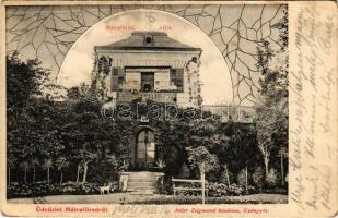 1906 Mátrafüred (Gyöngyös), Villa. Adler Zsigmond kiadása (EK)