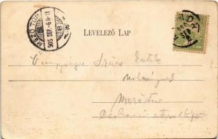 1905 Monor, borpincék, szőlőskert. Burján Béla kiadása (kis szakadás / small tear)