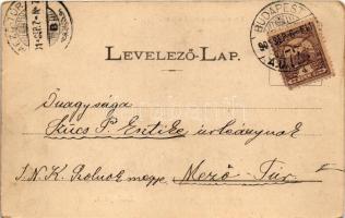 1901 Budapest I. Királyi várpalota a budai oldalról. Divald 132. (EK)