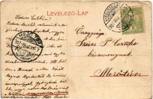 1907 Karcag, Kossuth szobor. Steiner F. fényképezte, Nagy Lajos kiadása (EK)