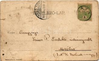 1905 Szekszárd, Szegzárd; múzeum belseje, Őstörténeti gyűjtemény (szakadás / tear)