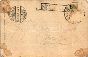 1902 Gödöllő, Erzsébet királyné szobor (Sissi). Nemesánszky Józsefné kiadása, magyar zászlós szecess...