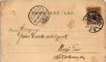 1901 Sopron, Ödenburg; Grabenrunde, Theater und Lisztdenkmal, Rathaus, Comitatsplatz / Várkerület, S...