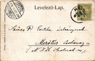 1907 Malomvízszuszény, Szuszény, Suseni; Kolcvár romjai. Kendoff A. és Fia kiadása / Cetatea Colt / ...