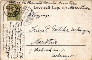 1907 Szacsal, Sacel; Báró Nopcsa kastély. Kendoff A. és fia kiadása / castle