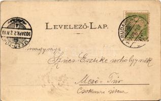 1902 Dobsina, Dobschau; Polgári iskola, városház, Jérbarlangi nagyterem, belső. Lindner Blanka kiadá...