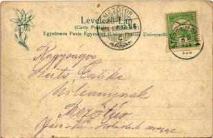 1908 Szepesváralja, Spisské Podhradie; Szepes vára. Feitzinger Ede 1902/12. 430. Psl. / Spissky hrad...