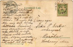 1906 Küküllővár, Cetatea de Balta; Gróf Haller Jenő Várkastélya. Jeremiás Áron czég kiadása / Die Ko...