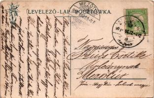1908 Tátra, Magas Tátra, Vysoké Tatry; Dunajeci hajózás, tutajok magyar zászlókkal. Feitzinger Ede N...