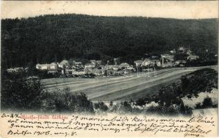 1906 Bártfafürdő, Bardejovské Kúpele, Bardiov, Bardejov; látkép / general view