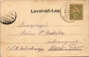 1904 Betlér, Betliar (Rozsnyó, Roznava); Török kávéház és Vadállat ketrec. Vogel D. felvétele, Pauch...