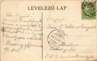 1908 Tarcsa, Tatzmannsdorf; Villa Vogelsang