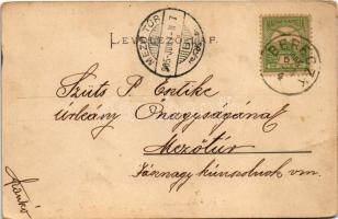 1905 Bereck, Bereczk, Bretcu; Erzsébet királyné (Sisi) emlékoszlop. Bogdán F. fényképész felvétele /...