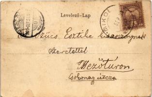 1901 Szatmárnémeti, Satu Mare; Városi kioszk. Szecessziós erdő keret, Reizer János kiadása / kiosk. ...