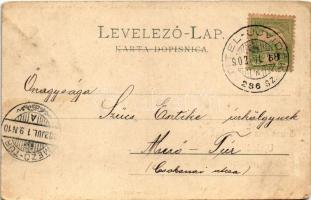 1902 Újvidék, Novi Sad; színház, M. kir. posta és távirda hivatal, Városház / theatre, post and tele...