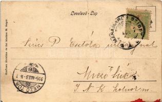 1905 Máramarossziget, Sighetu Marmatiei; Állami tanítóképezde. Kaufman Ábrahám és fia kiadása / teac...