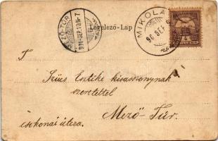 1901 Szatmárnémeti, Satu Mare; Kir. törvényszék. Szecessziós magyar zászlós litho. Reizer János kiad...