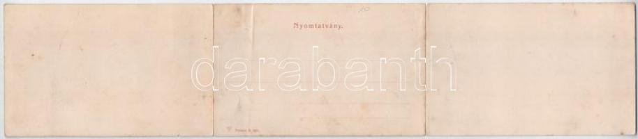 Iglófüred, Spisská Nová Ves Kupele, Novovesské Kúpele; 3-részes kihajtható panorámalap. Ferencz D. k...