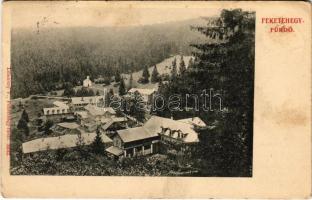 1908 Feketehegyfürdő, Feketehegy, Cernohorské kúpele (Merény, Vondrisel, Nálepkovo); látkép. Lomnitzy V. kiadása / general view (EK)