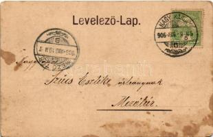 1906 Nagykároly, Carei; Gróf Károly kastély. Eigner Simon kiadása / castle (fl)
