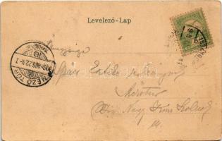 1903 Nagykároly, Carei; Gróf Károly kastély. Csókás László kiadása / castle (EK)