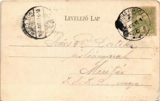 1906 Buziásfürdő, Baile Buzias; József forrás. Nosek Gusztáv kiadása / spa, spring source (EK)