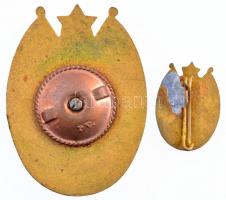 ~1970. "Kiváló Határőr" aranyozott, zománcozott jelvény, csavaros hátlappal (45x33mm) + mi...