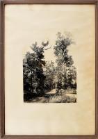 Dudás Jenő (1900-1991): Budakeszi út. Rézkarc, papír, jelzett. Számozott: 34/100. Üvegezett fakeretben, 34,5×25 cm