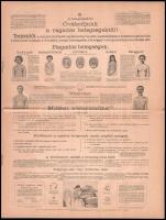 cca 1910 Bardócz Pál fali szemléltető táblák reklám nyomtatvány 8 p