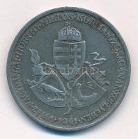 1941. "Délvidéki Emlékérem" Zn emlékérem mellszalag és fül nélkül. Szign.: BERÁN L. T:2- p...