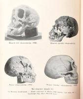 Lambrecht Kálmán: Az ősember. Ősvilágok élete. A 8.,19-23. fejezetek szerzője: Kormos Tivadar. Bp., ...