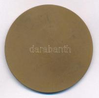 Búza Barna (1920-2010) 1961. "XIX. Kerületi Ady Endre Úti Iskola 1911-1961" Br emlékérem (...