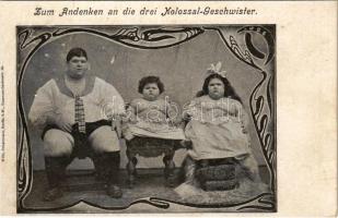 Zum Andenken an die drei Kolossal-Geschwister / Óriás lánytestvérek, cirkuszi mutatványosok / Colossal sisters, circus. Art Nouveau