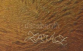 Zajácz Tamás (1952-): Ágas-bogas. Bőr falikép, jelzett a hátoldalán, felületi kopásokkal, 90x61 cm