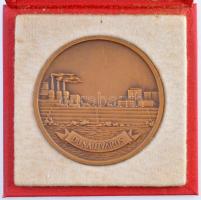 DN "Dunaújváros / 1950" Br emlékérem eredeti tokban (70mm) T:1-,2