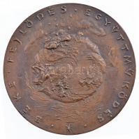 Lebó Ferenc (1960-) "Béke, fejlődés, együttműködés / United Nations Association of Hungary"...