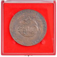 Lebó Ferenc (1960-) "Béke, fejlődés, együttműködés / United Nations Association of Hungary"...