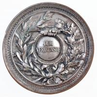 Német Birodalom 1875. "München MDCCCLXXV / Dem Verdienste (Az érdem jeléül)" ezüstözött Br...