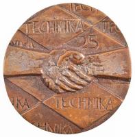 DN TECHNIKA 25 egyoldalas, öntött bronz plakett, eredeti tokban (94mm) T:1-,2